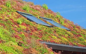 Bearstone living roof systems